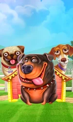 The Dog House
